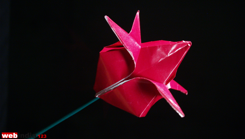 Origami Lotus